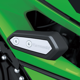 Protectores de Chasis Kawasaki Ninja 500 y Z500 (999942006) | MOTOBIKE RIOJA